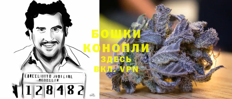 как найти   Зеленокумск  Шишки марихуана LSD WEED 